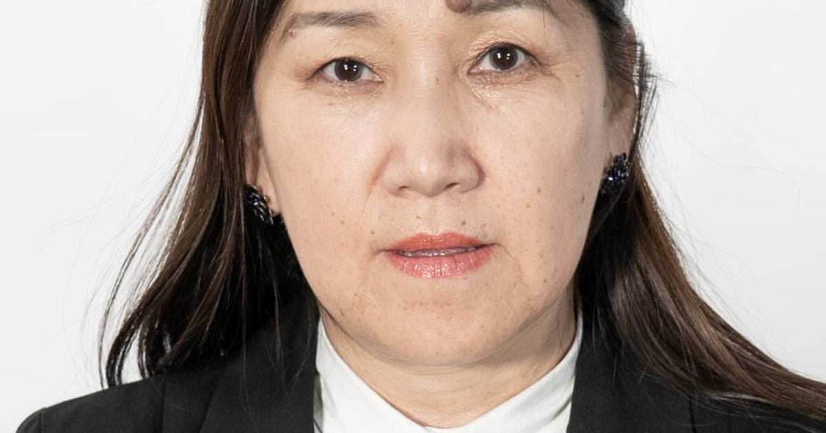 АЛИМАА Ж — Дэд профессор